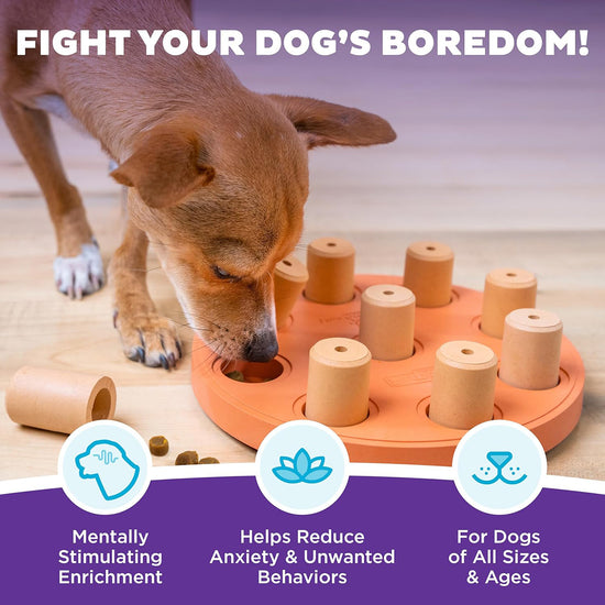 Outward Hound Smart Composite Interactive Dog Toy - 23cm - Orange