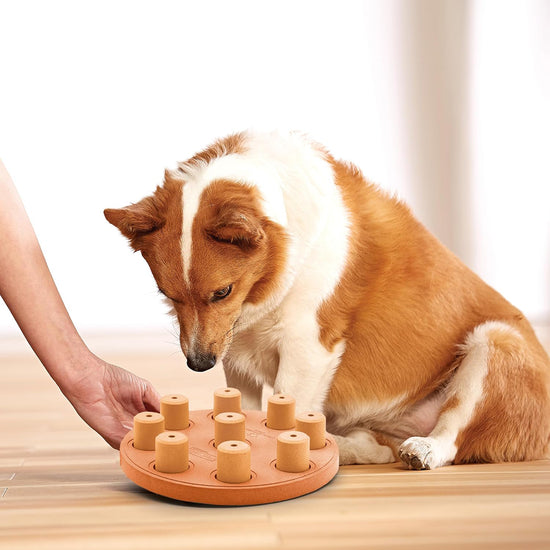Outward Hound Smart Composite Interactive Dog Toy - 23cm - Orange
