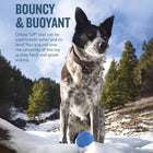 Outward Hound Orbee-Tuff Planet Ball, Royal Blue, Large