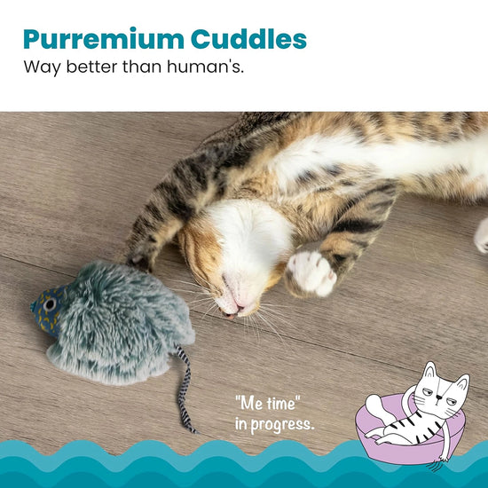 Petstages Nighttime Cuddle Toy - 18cm
