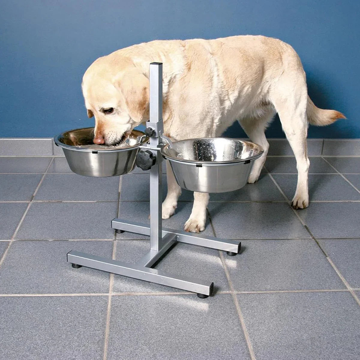 Yellow Labrador drinking from elevated stainless steel zigly dog bowls on gray tiled floor