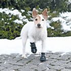 Trixie Walker Active Protective Boots 2 Pcs Black - Zigly