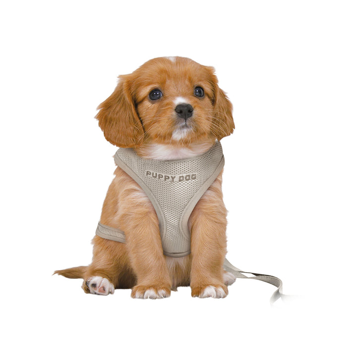 Trixie Junior Puppy Harness With Leash - S-M - 23-34 cm/8 mm - 2.00 m - Light Grey