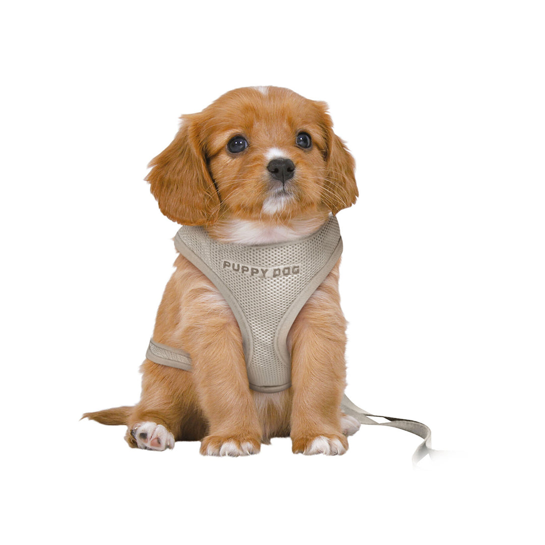 Trixie Junior Puppy Harness With Leash - S-M - 23-34 cm/8 mm - 2.00 m - Light Grey