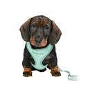 Trixie Junior Puppy Harness With Leash - S-M - 23-34 cm/8 mm - 2.00 m - Mint - Zigly