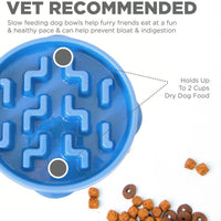 Outward Hound Fun Feeder Slo-Bowl for Dogs - Medium/Mini - 25 cm