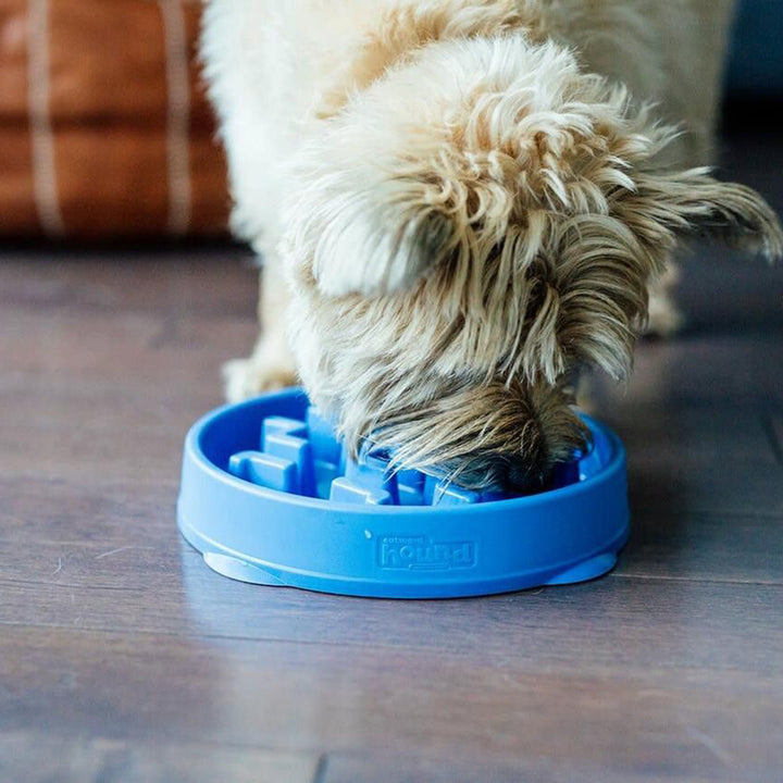 Outward Hound Fun Feeder Slo-Bowl for Dogs - Medium/Mini - 25 cm