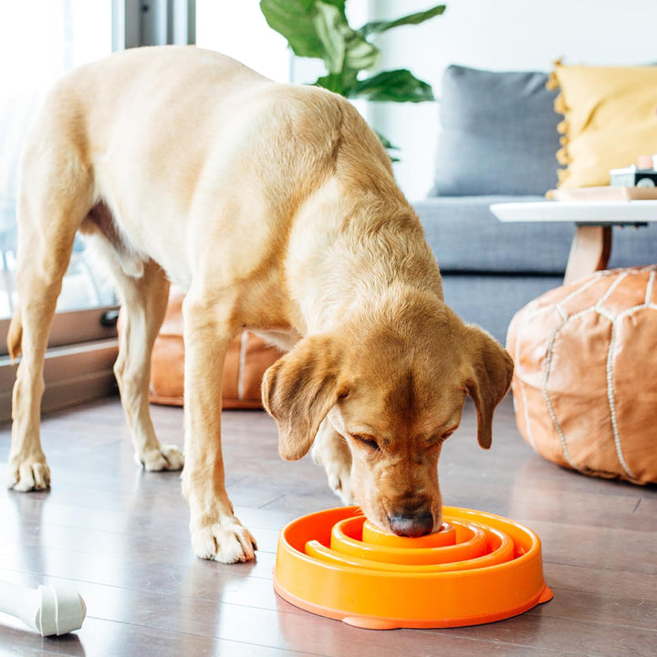 Outward Hound Fun Feeder Slo-Bowl Helps Prevent Obesity & Bloat Dog Bowl-(Orange)