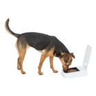 Trixie TX1 Automatic Food Dispenser For Small Dogs & Cats - 300ml