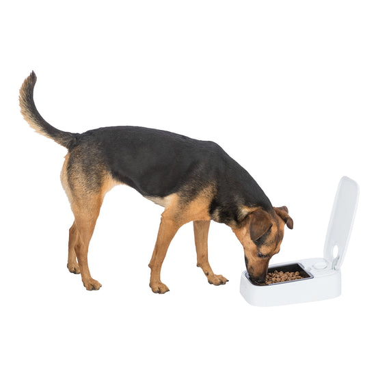 Trixie TX1 Automatic Food Dispenser For Small Dogs & Cats - 300ml