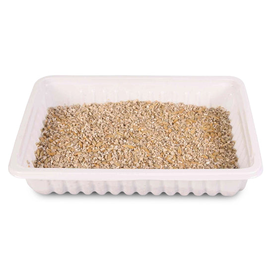 Trixie Soft Grass, Bowl for Cats