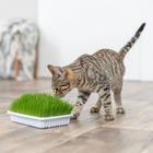 Trixie Soft Grass, Bowl for Cats