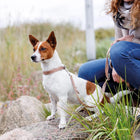 Trixie Premium Nylon Dog Collar Boho Diamond/Caramel
