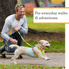 Ruffwear Hi & Light Dog Harness Twilight Grey