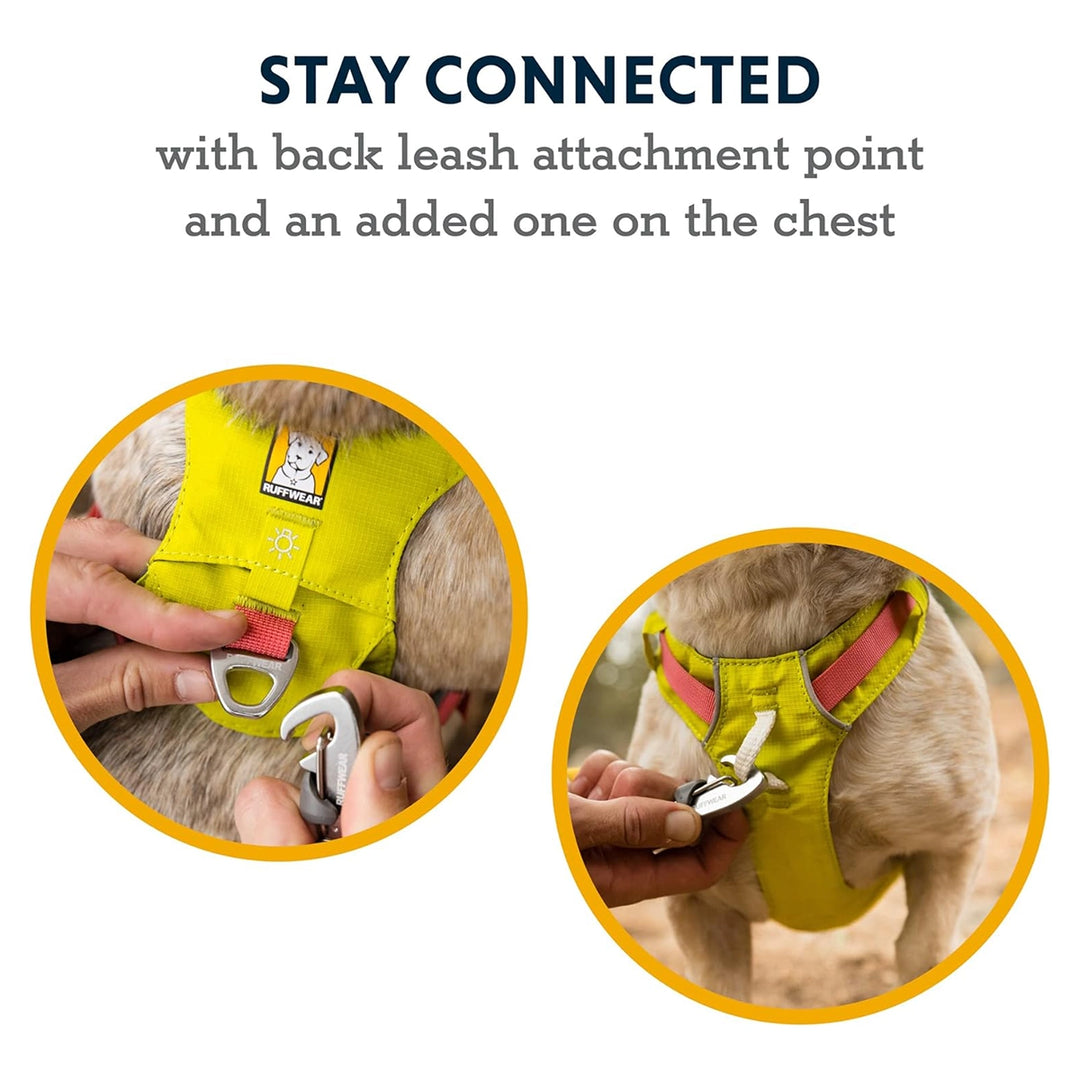 Ruffwear Hi & Light Dog Harness Twilight Grey