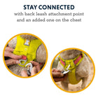 Ruffwear Hi & Light Dog Harness Twilight Grey