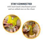 Ruffwear Hi & Light Dog Harness Sockeye Red