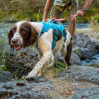 Ruffwear Web Master™ Harness Twilight Gray