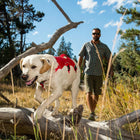 Ruffwear Web Master™ Harness Twilight Gray