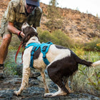 Ruffwear Web Master™ Harness Twilight Gray