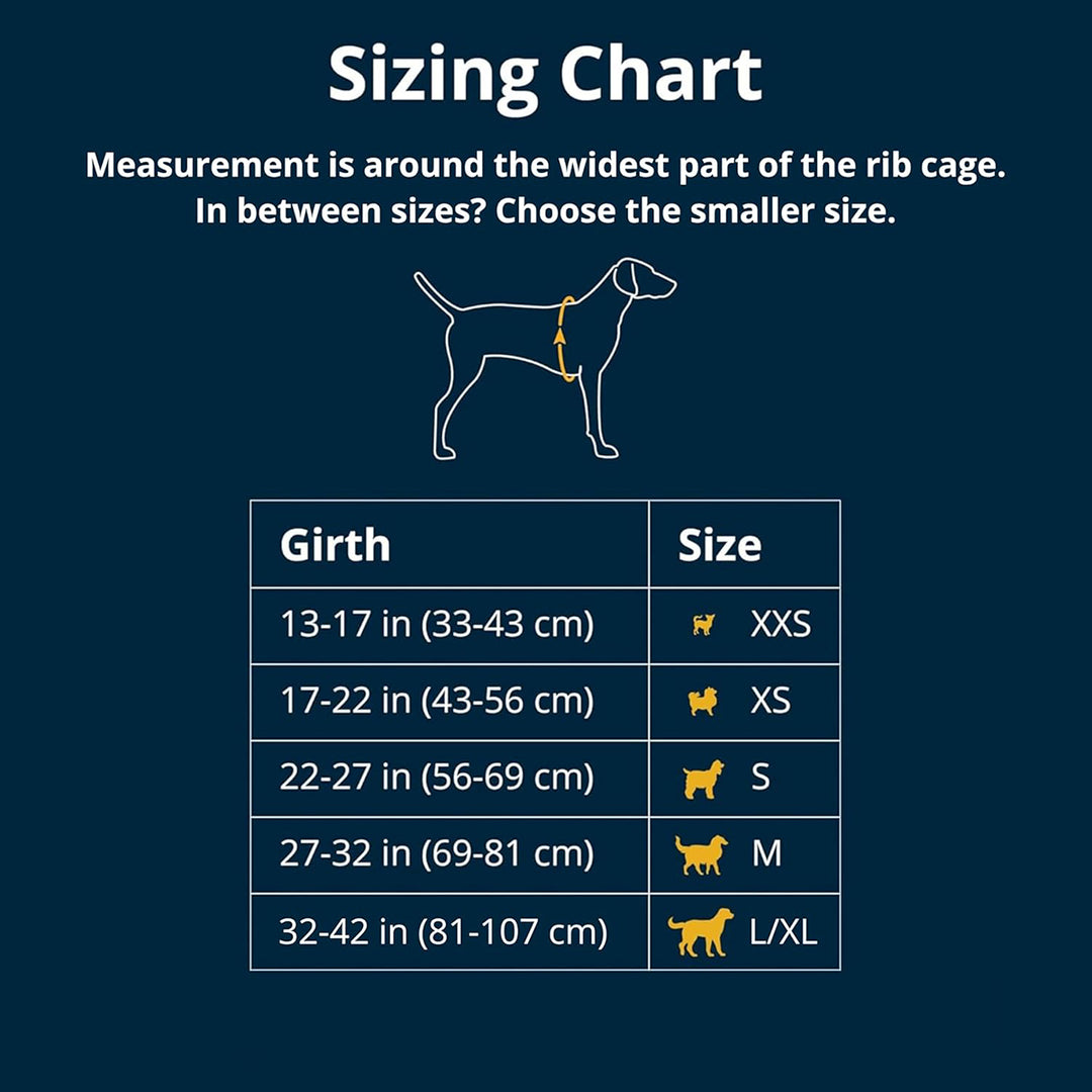 Ruffwear Web Master™ Harness Twilight Gray