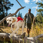 Ruffwear Web Master™ Harness Red Currant Xx-Small