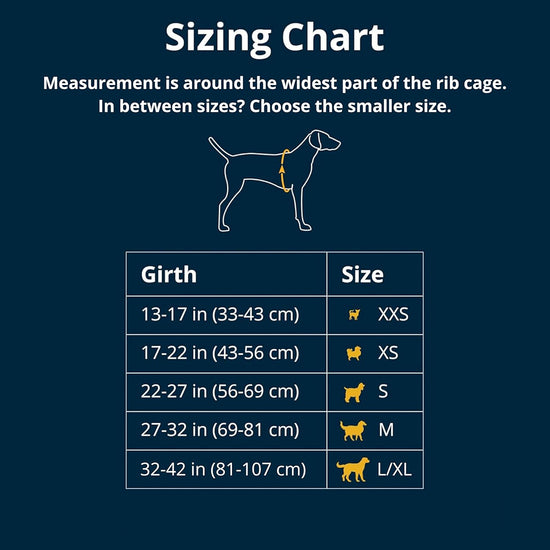 Ruffwear Web Master™ Harness Red Currant Xx-Small