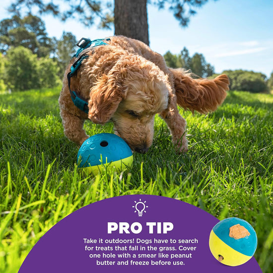 outward-hound-nina-ottosson-treat-tumble-ball-dog-toy-large