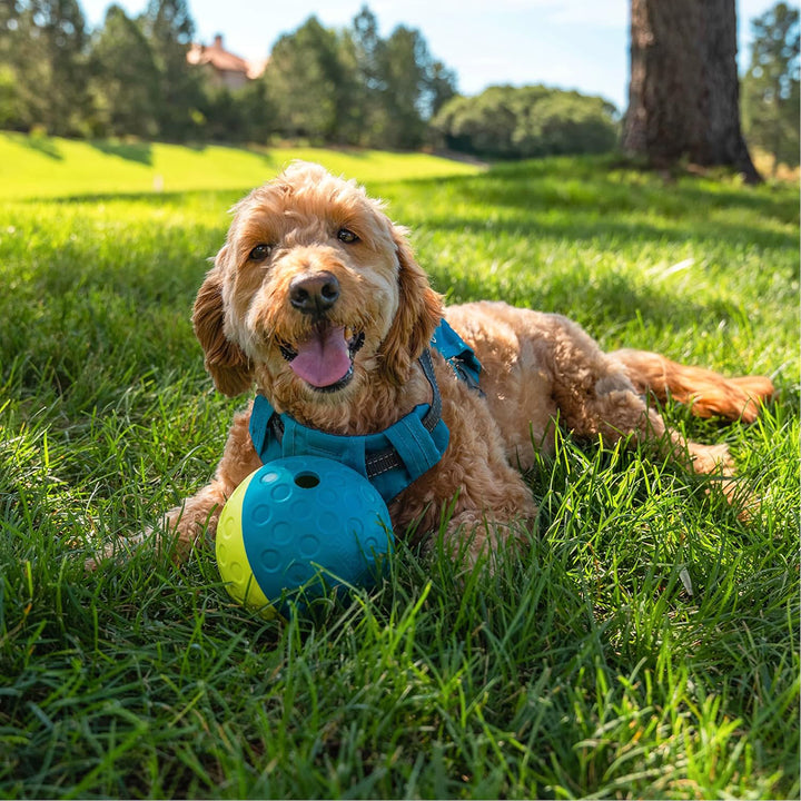 Outward Hound Nina Ottosson Treat Tumble Ball Dog Toy - Large