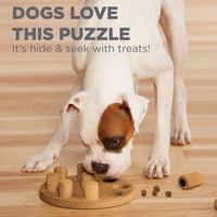 Outward Hound Nina Ottosson Dog Smart Composite Game Puzzle Dog Toy -  (Level 1 Beginner)