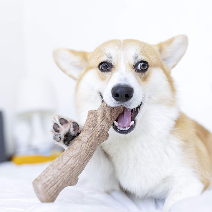 Outward Hound Dogwood Durable Stick Chew Toy