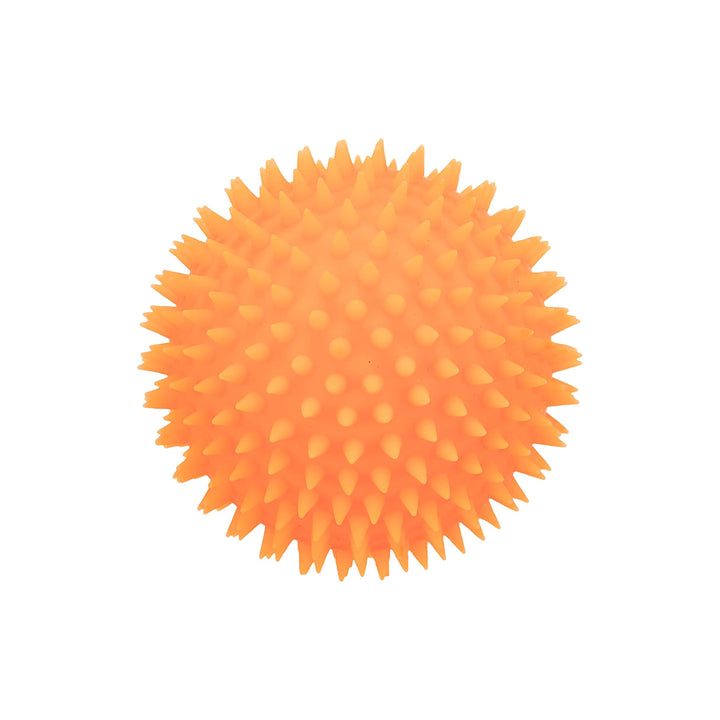Trixie Hedgehog Vinyl Squeaky Ball Dog Toy