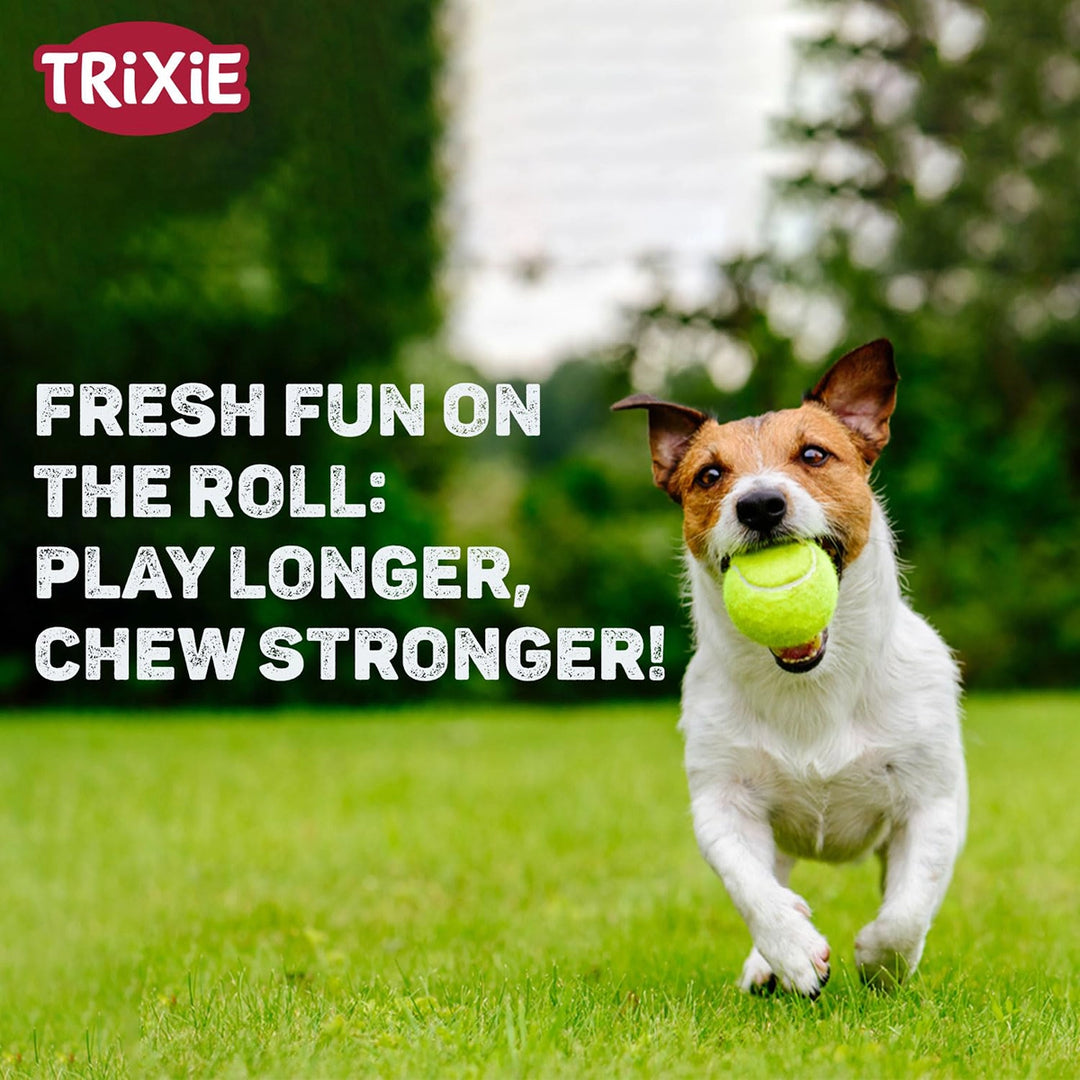 Petsport Mint Tuff Balls Fetch Dog Toy - 7cm