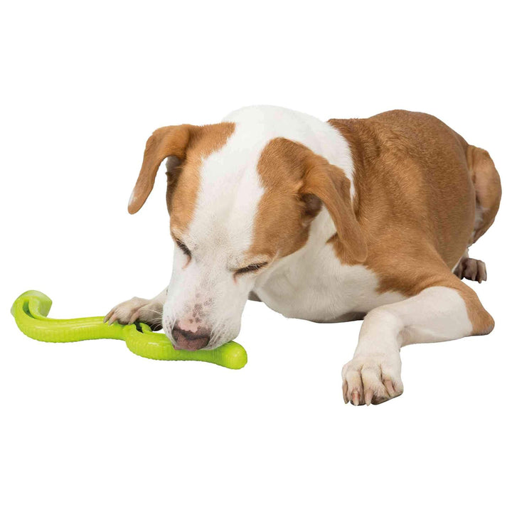 Trixie Thermoplastic Rubber Snack Snake Dog Toy - 42 cm