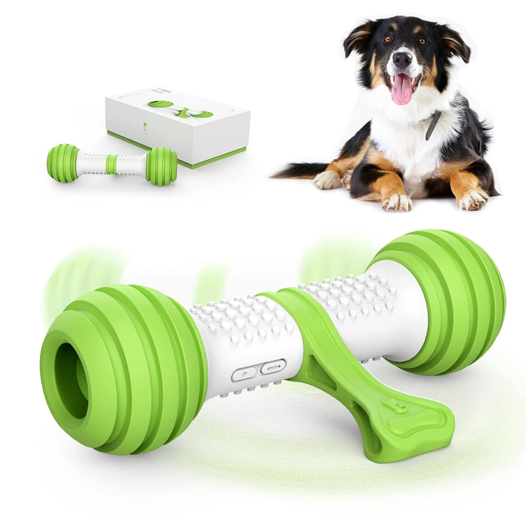 Pet Geek Playbone Interactive Dog Toy (White/Green)