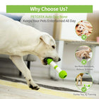 Pet Geek Playbone Interactive Dog Toy (White/Green)