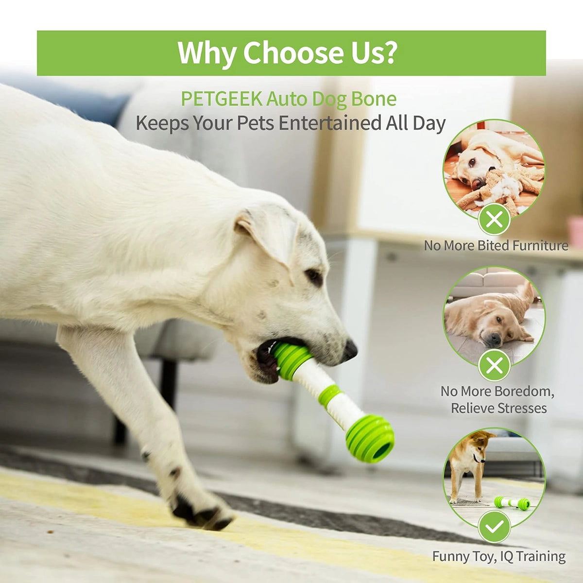 Pet Geek Playbone Interactive Dog Toy (White/Green)