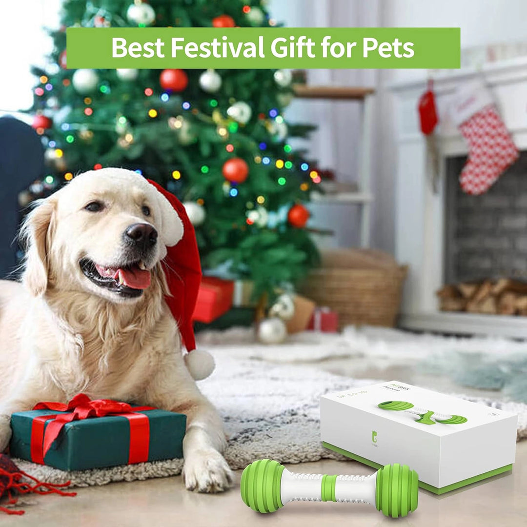 Pet Geek Playbone Interactive Dog Toy (White/Green)
