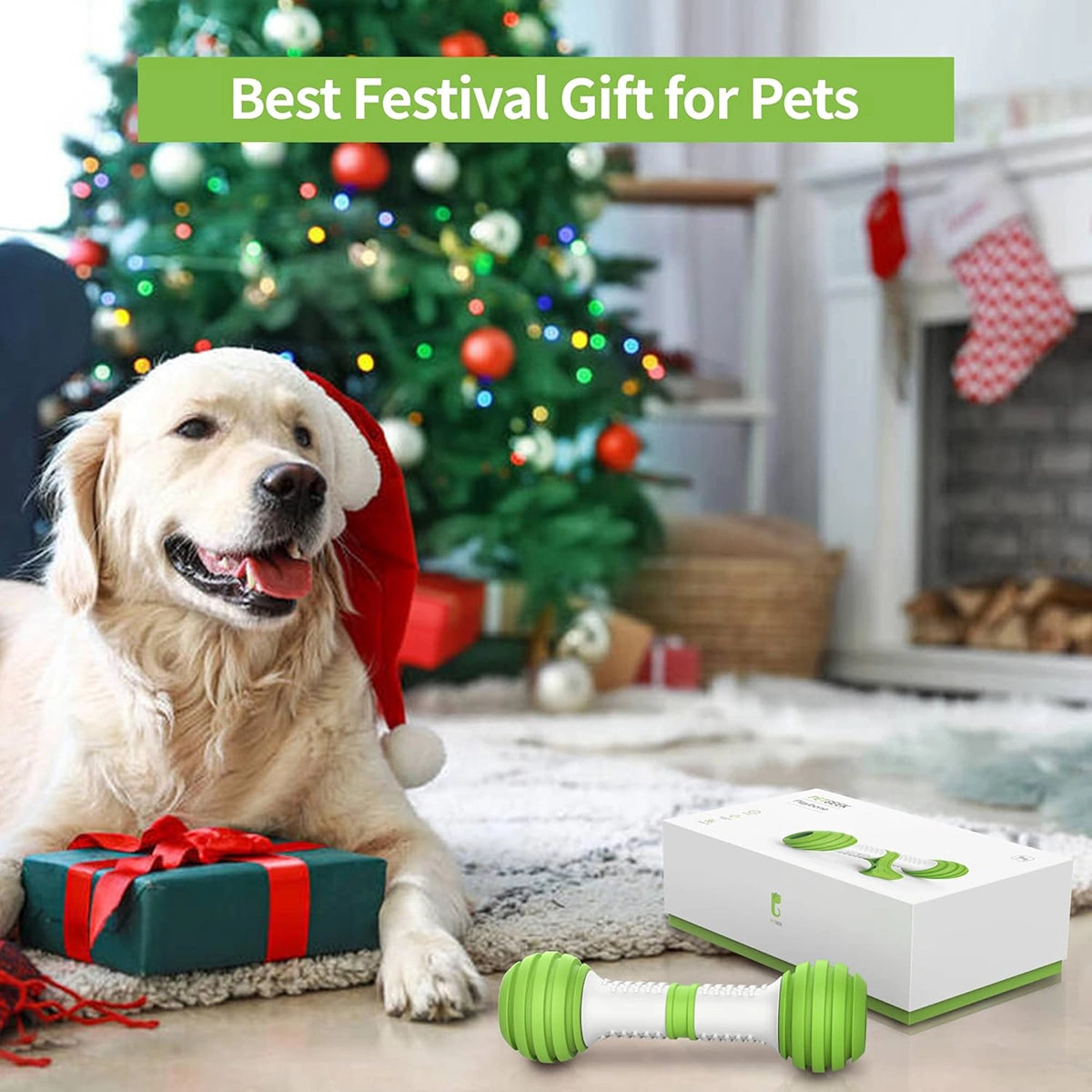 Pet Geek Playbone Interactive Dog Toy (White/Green)