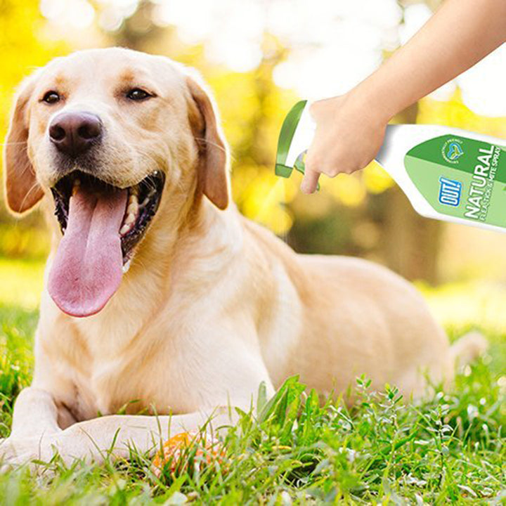Out Pet Care Natural Flea & Tick Spray for Dogs - 500 ml