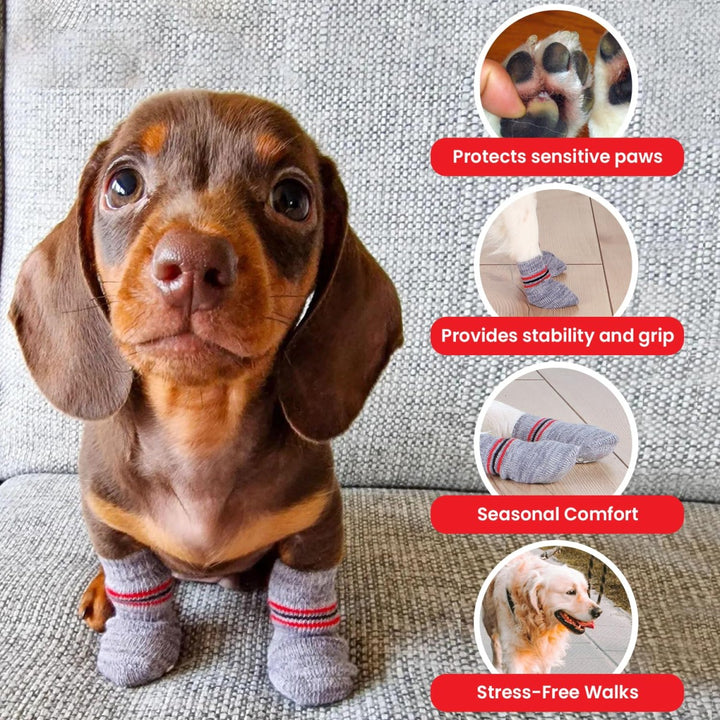 Trixie Non-Slip Socks for Dogs - Grey - 1 Pair