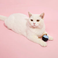 Fofos Tumbler Cat Toy