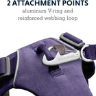Ruffwear Front Range Harness Purple Sage - Large/Xlarge - Zigly
