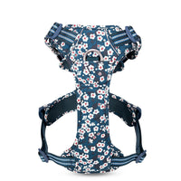 Truelove Floral No Pull Pet Harness - Saxony Blue