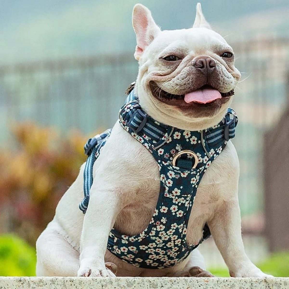 Truelove Floral No Pull Pet Harness - Saxony Blue
