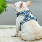 Truelove Floral No Pull Pet Harness - Saxony Blue