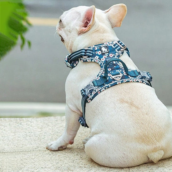 Truelove Floral No Pull Pet Harness - Saxony Blue