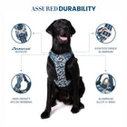 Truelove Floral No Pull Pet Harness - Saxony Blue