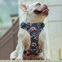 Truelove Floral No Pull Pet Harness - Navy Blazer