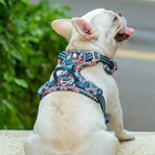 Truelove Floral No Pull Pet Harness - Navy Blazer